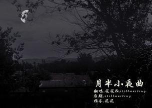 一首小夜曲,小夜曲中的浪漫时光