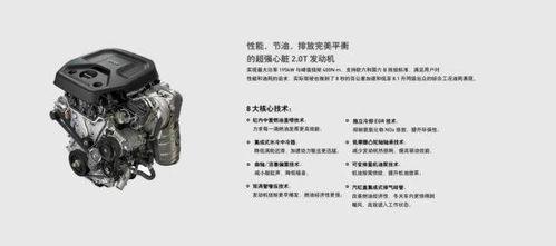 衣锦还乡倍思亲